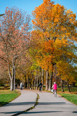 Beautiful autumn park. Panorama of the city park in sunny weather