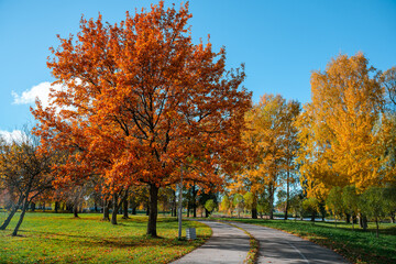Beautiful autumn park. Panorama of the city park in sunny weather