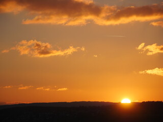 sunset at a vineyard in autumn