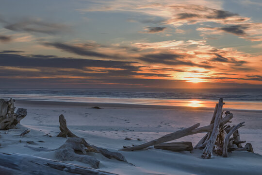 Driftwood on Heceta Beach taken at sunset; Florence, Oregon, United States of America