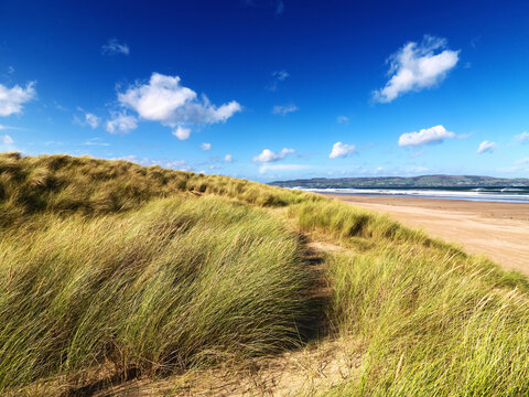 A beach along the coast of Northern Ireland; Benone, County Londonderry, Ireland