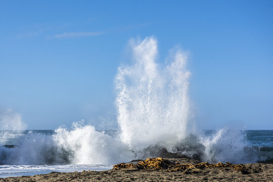 A crashing wave on the shore of Harris Beach, near Brookings; Oregon, United States of America