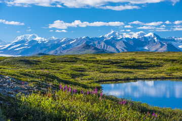 The Alaska Range as seen from the McLaren Ridge Trail off the Alaska Highway on a sunny summer day in South-central Alaska; Alaska, United States of America