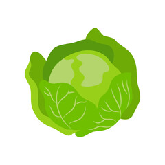 Green cabbage with vitamin C vector illustration. Cartoon drawing of enriched organic antioxidant, cabbage. Food, nutrition, diet concept