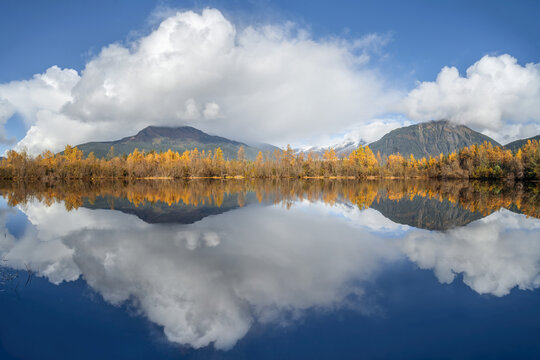 Mirror image of an autumn coloured forest and the Coast mountains in Tongass National Forest; Alaska, United States of America