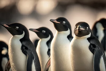 Fotobehang Adelie penguins in Antarctica. Digital artwork  © Katynn