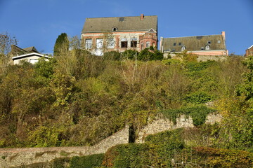 Fototapeta premium Quelques vieilles bâtisses historique dominant la végétation luxuriante des jardins en terrasses à Thuin en Hainaut 