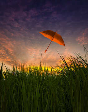 Composite image of an umbrella floating over grass at sunset