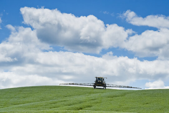 A high clearance sprayer applies a chemical application of fungicide to a flax field; Tiger Hills, Manitoba, Canada