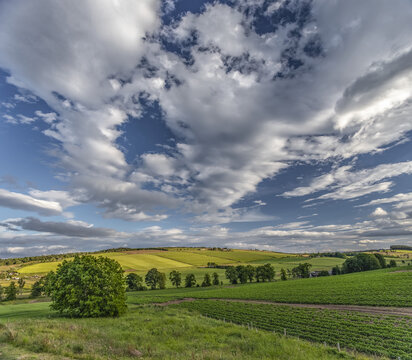 Farmland on rolling hills on the Black Isle; Rosemarkie, Ross and Cromarty, Scotland