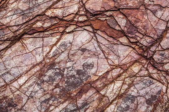 Close-up of a coastal rock face along the shore of Minas Basin; Nova Scotia, Canada