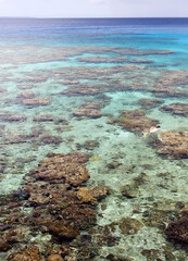 New Caledonia's Lifou Island Snorkeling
