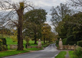 A grey November afternoon and a view west through ornamental stone gateposts on minor road through Hovingham Park . Hovingham, North Yorkshire