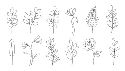 Flower, floral leaf one line art. One continuous line art leaf, flower minimal design. Editable stroke eucalyptus branch, rose, poppy foliage floral element. Isolated vector illustration