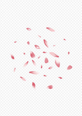 Color Floral Vector Transparent Background. Petal