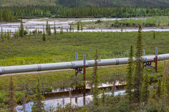The Trans-Alaska Pipeline reflects in a pond beside the Dalton Highway; Alaska, United States of America