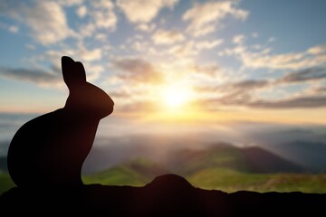 New Year rabbit silhouette at mountains