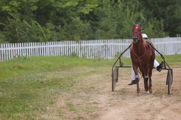 Horse racing in summer, Russia, Chuvash Republic