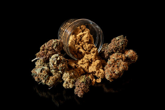Dried and cured Marijuana, ready for sale; Studio