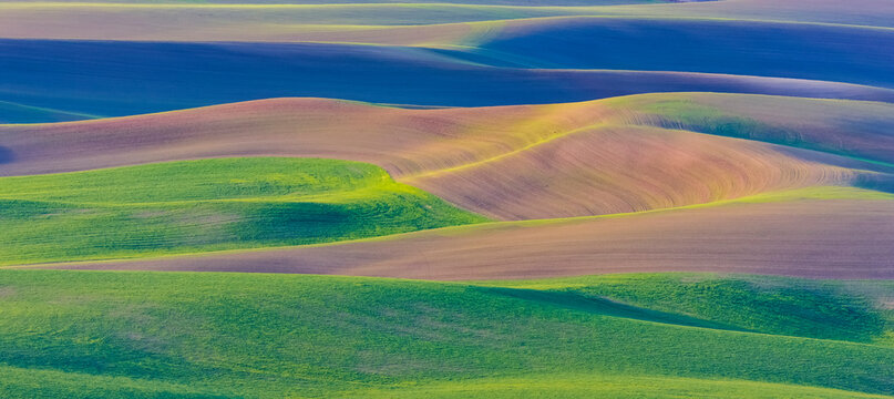 Rolling hills of farmland, Palouse, Eastern Washington; Washington, United States of America