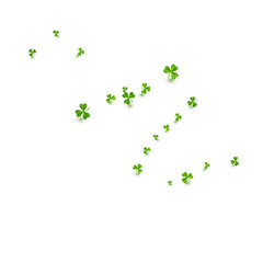 Malachite Clover Fly Vector White Background.