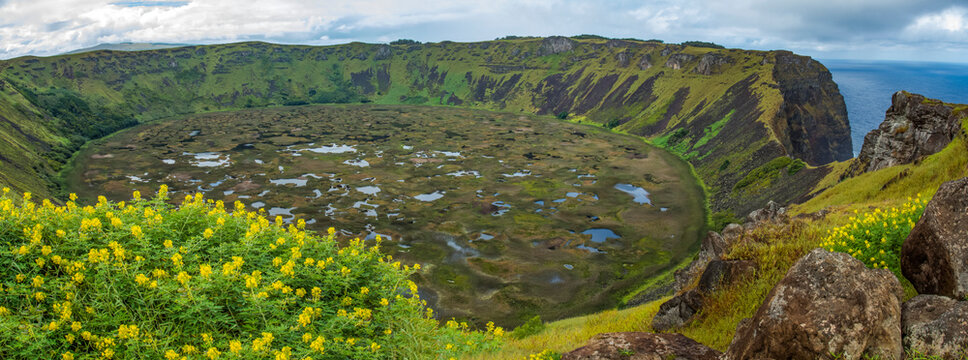 The grassy crater of a volcano opens up to the Pacific ocean, yellow flowers are in the foreground; Oronga, Eastr Island, Chile