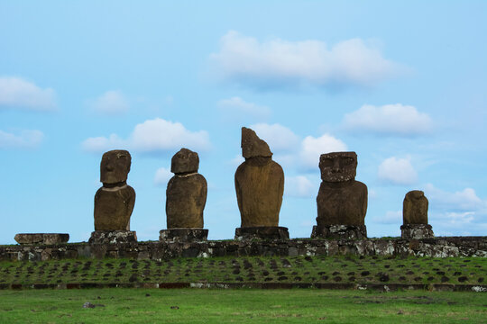 A row of moais against the blue sky with a grassy area in the foreground; Easter Island, Chile