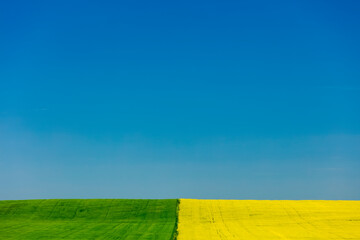 Farm fields of green and yellow side by side under a blue sky; Saskatchewan, Canada