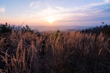 Fototapeta premium Sonnenuntergang mit Grashalmen und Wiese im Vordergrund.