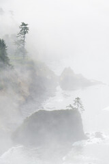Fog obscures the Oregon Coast with rocks and fir trees on the edge of the Pacific Ocean