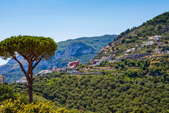 Houses on a hillside in the countryside above the Amalfi Coast; Ravello, Salerno, Italy