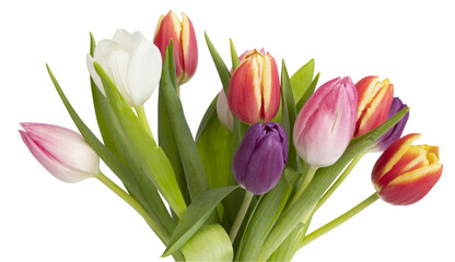 Naklejka premium Bouquet de tulipes de différentes couleur 