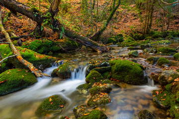 waterfall in mata da albergaria