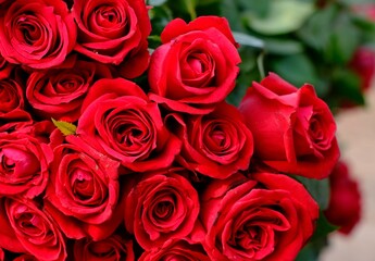 bouquet of red roses
