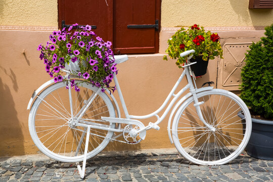 A white decorative bike beside a wall with blossoming flowers in pots; Sibiu, Transylvania Region, Romania - Powered by Adobe