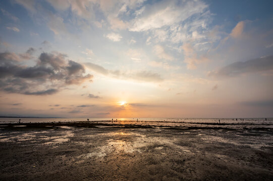 People collecting shells on the beach at sunset; Lovina, Bali, Indonesia