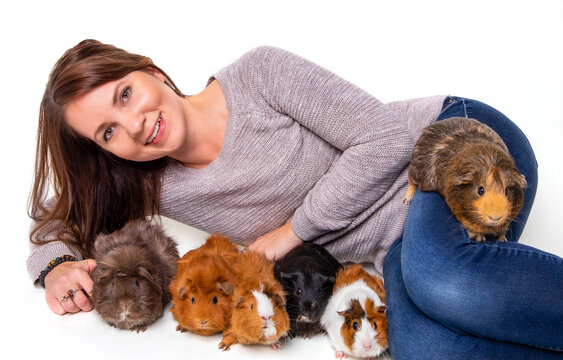A woman poses with her pet guinea pigs (Cavia porcellus) on a white background; Studio