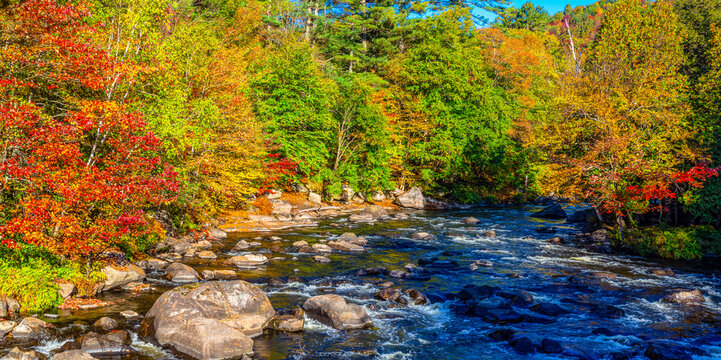 Vibrant autumn coloured foliage in a forest along a tranquil river flowing along the shoreline; Quebec, Canada