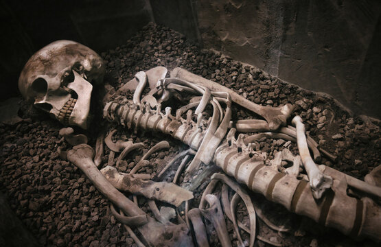 An old human skeleton lying in a stone coffin or sarcophagus