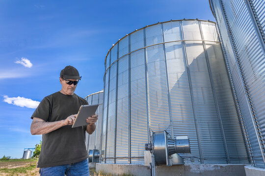 A farmer stands beside grain storage bins looking at a tablet; Alberta, Canada