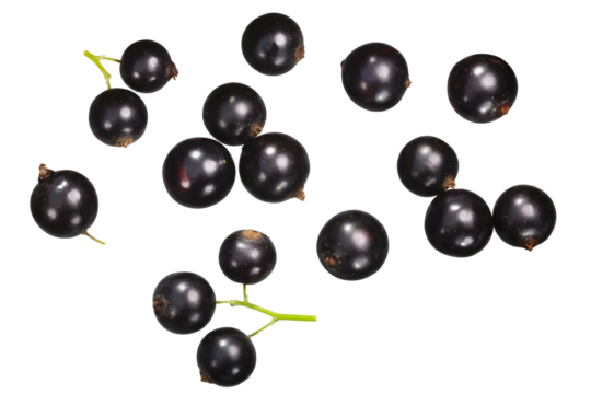 Blackcurrant (berries of Ribes nigrum), top view isolated png