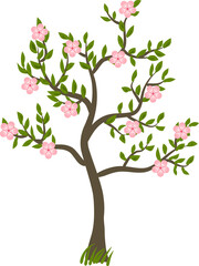 Blossoming tree