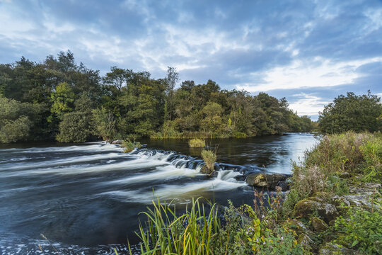 Small cascade on the River Shannon outside of Castleconnell with a small forest in the background; Castleconnell, Limerick, Ireland