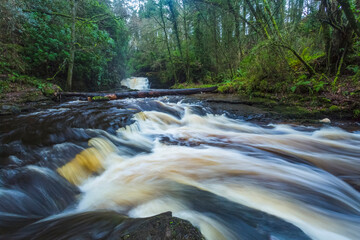 Cascades of the Clare Glens river on a cloudy moody day; County Tipperary, Ireland