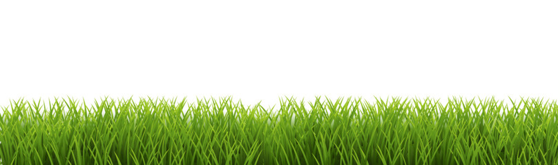 Obraz premium green grass background