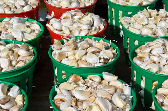 Containers of Garlic for Sale