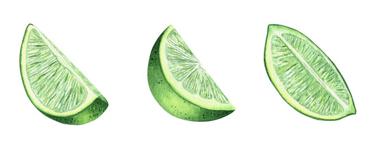 Set of a slice fresh and juicy lime. Watercolor illustrations. ingredient for cocktails and lemonades. piece of tropical fruit, vegetarian food. isolated on a white background.