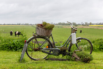 Fahrrad auf dem Feld