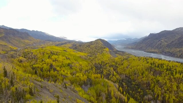 Fall colors of Chugach National Forest in Alaska on a gloomy day