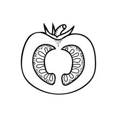 Tomato slice line art. Farm vegetable. Dietary healthy product. Hand drawn vector sketch illustration.